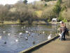 helston boating lake